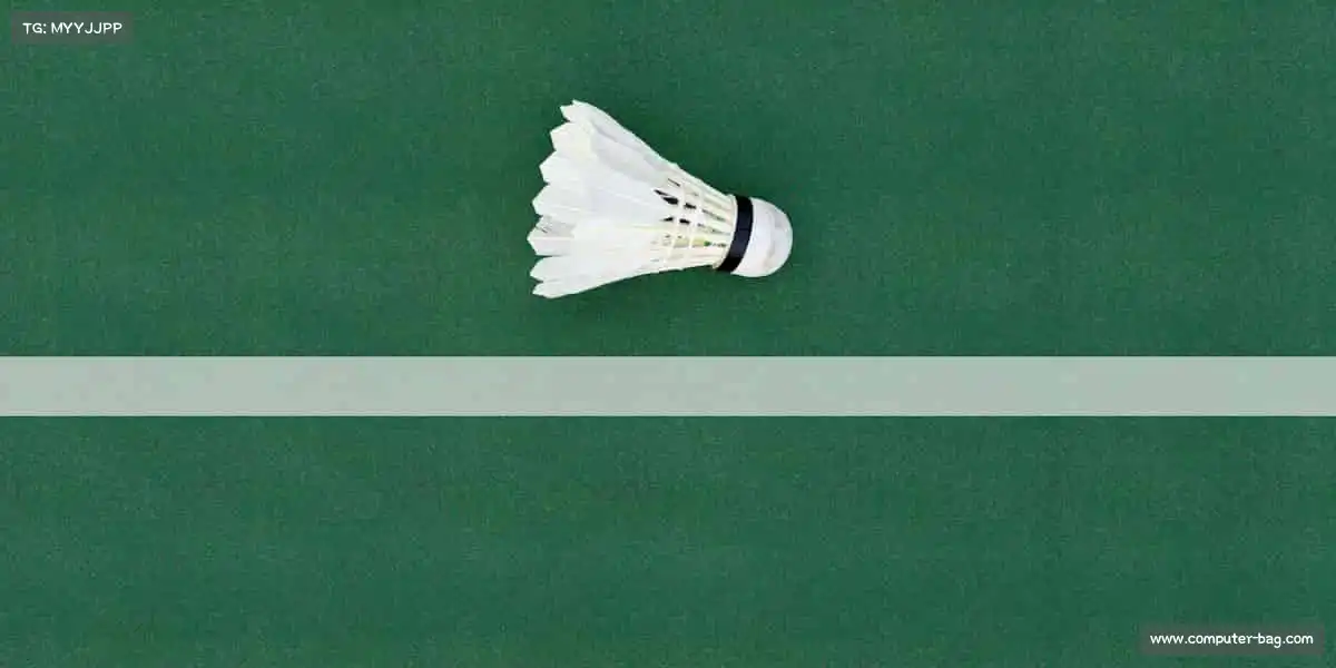 行业领先的理由